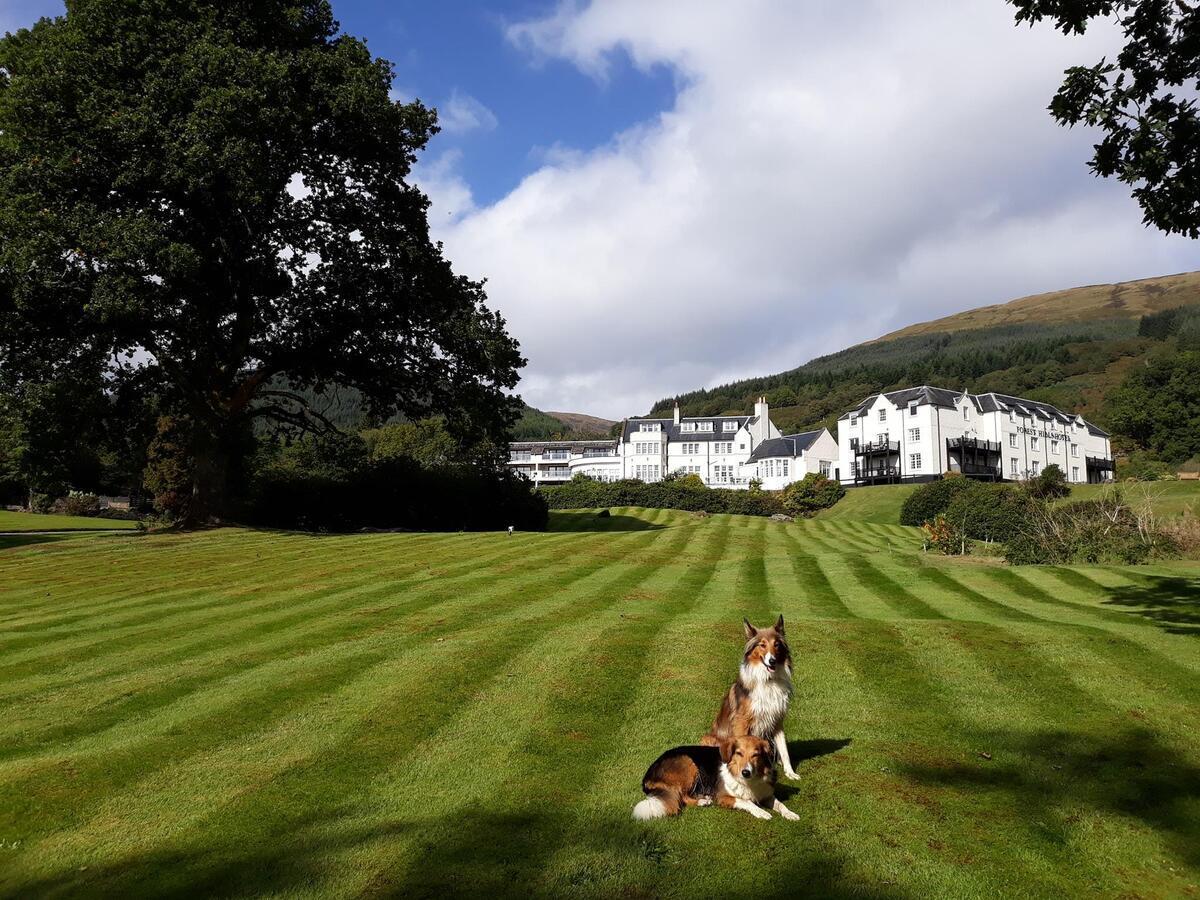 Macdonald Forest Hills Resort Aberfoyle  Exterior foto